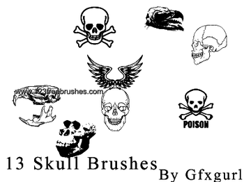 Skull – Crossbones – Wings