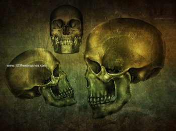 Skull Head
