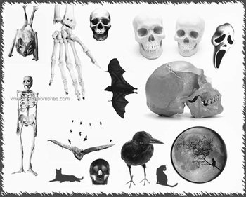 Skulls