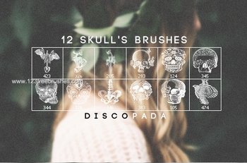 Skulls and Anatomy