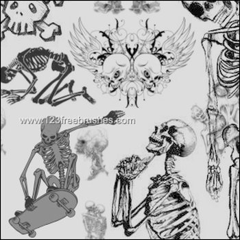 Skulls and Skeletons