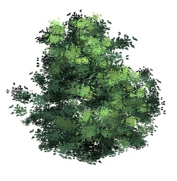 Adobe Tree