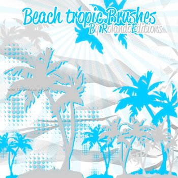 Beach Coconut Tree