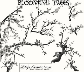 Blooming Trees