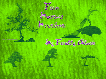 Bonsai Trees