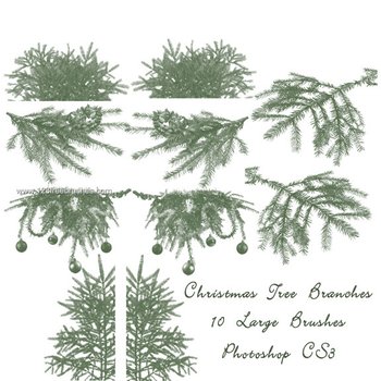 Christmas Tree Branch