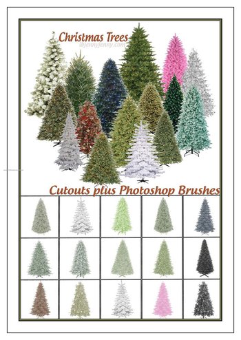 Christmas Trees