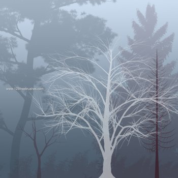 Fall and Winter Tree
