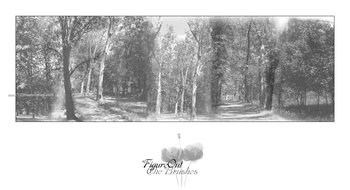 Forest Tree
