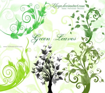 Green Leaves and Trees