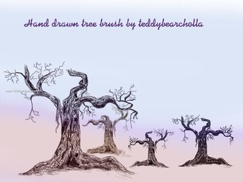 Hand Drawn Tree