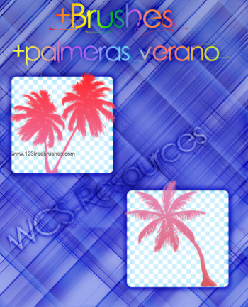 Palm Tree