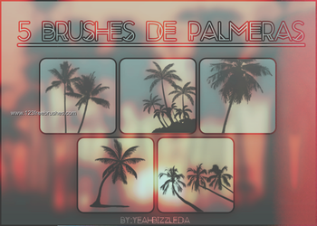 Palm Tree