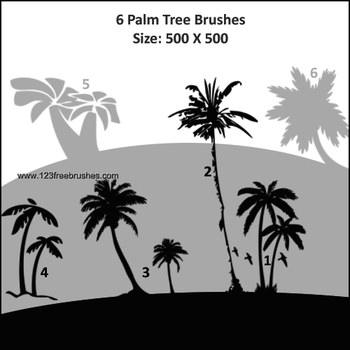 Palm Tree