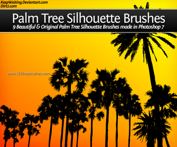 Palm Tree