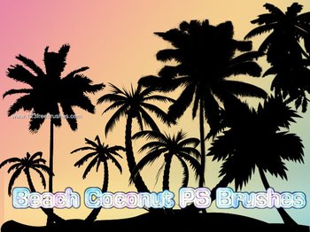 Palm Tree Silhouettes