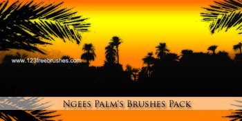 Palm Tree Silhouettes