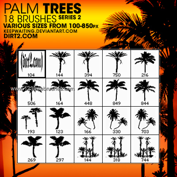 Palm Tree Silhouettes