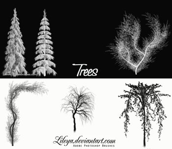 Pine Tree