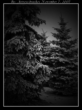 Snowy Christmas Tree