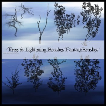 Tree and Lightening
