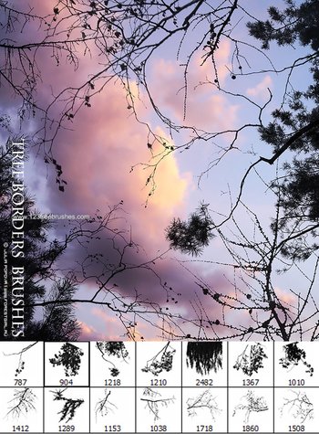 Tree Borders