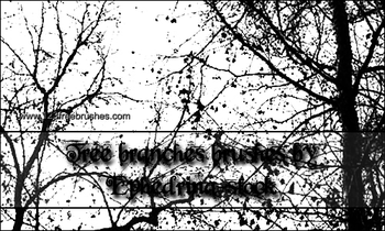 Tree Branches