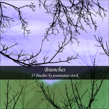 Tree Branches