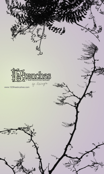 Tree Branches