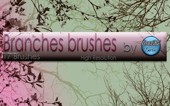 Tree Branches