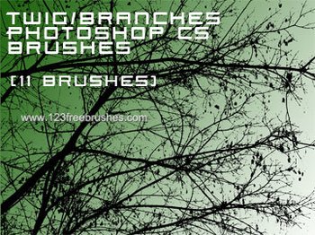 Tree Branches