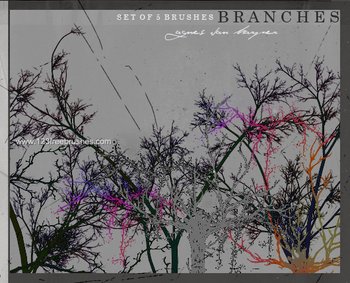 Tree Branches
