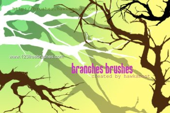 Tree Branches