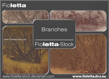 Tree Branches