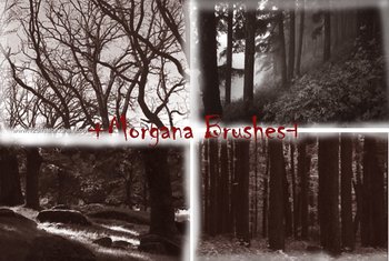 Tree Forest