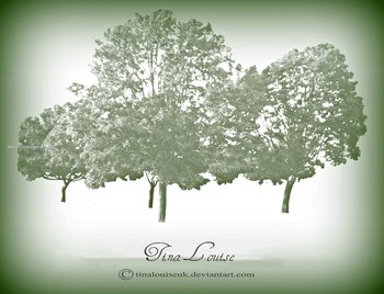 Tree Line