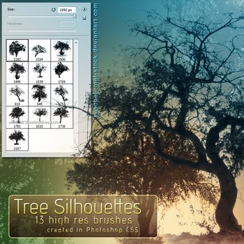 Tree Silhouette