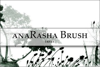 Tree Silhouettes