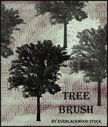 Tree Silhouettes