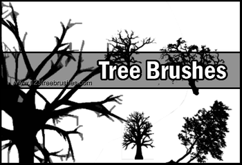 Tree Silhouettes