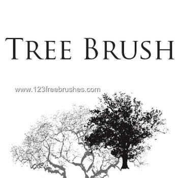 Tree Silhouettes
