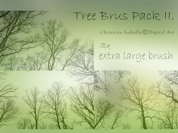 Tree Silhouettes