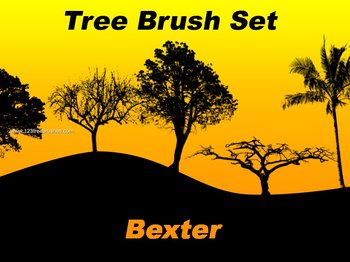 Tree Silhouettes