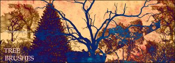 Tree Silhouettes