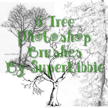 Tree Silhouettes