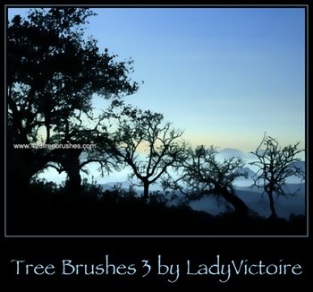 Tree Silhouettes
