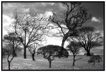 Tree Silhouettes