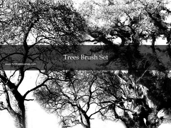 Tree Silhouettes