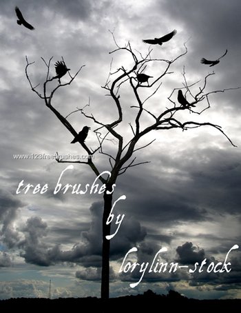 Tree Silhouettes