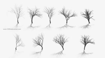 Tree Silhouettes